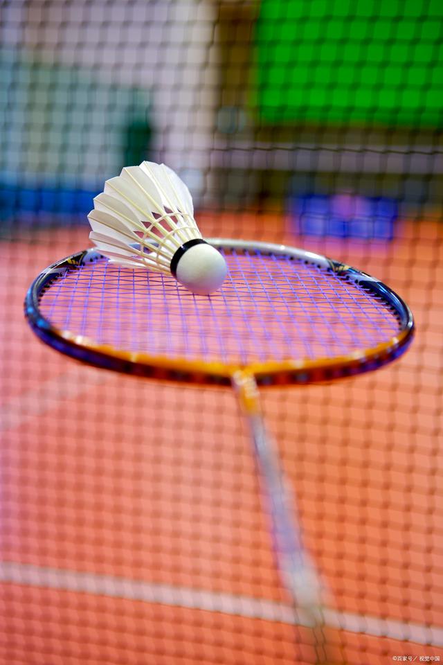 此次比赛不 此次比赛不