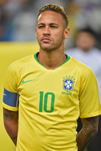 泳和陆游器 泳和陆游器